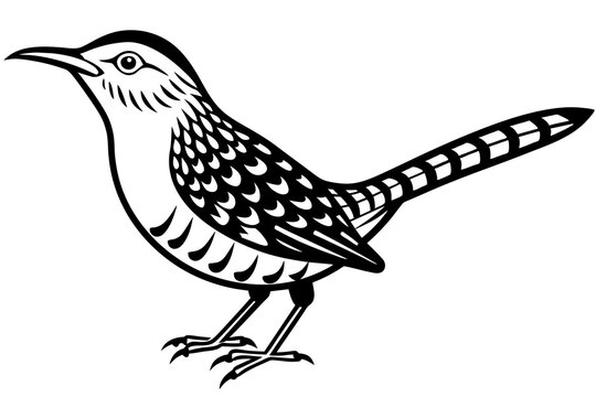 recommend clip art: Solid black outline Cactus Wren animal vector silhouette