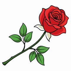 A Persian rose, with petals like silk, blooms on a white branch vector illustration