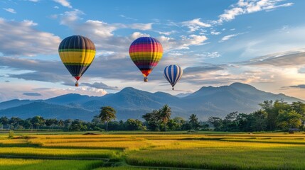 Obraz premium colorful hot air balloons soaring over lush green rice fields in mountainous terrain, set against a backdrop of a blue sky adorned with fluffy clouds, symbolizing adventure and travel.