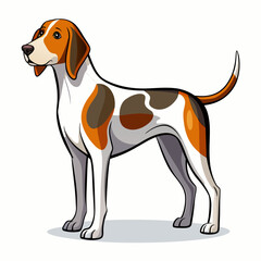 american english coonhound on white full silhouette illustration