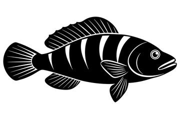 wrasse fish silhouette vector illustration