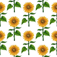 Watercolor sunflower seamless pattern. Floral background with yellow flowers. Summer floral composition. Autumn flowers arrangement. Hand drawn botanical illustration for packaging, textile, scrapbook