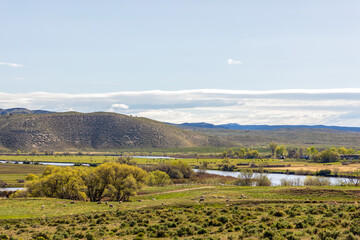 Scenic view of the sheep pasture in northern Colorado 