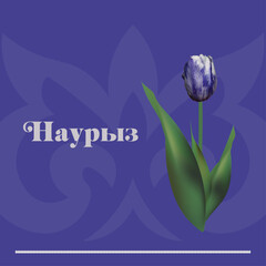 Realistic blue tulip on a blue background with Kazakh ornament. A holiday card. Nauryz holiday. Realistic Tulip flower on blue background. Vector illustration for your design