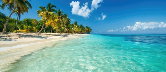Fototapeta premium Tropical beach paradise with palm trees, pristine white sand, and crystal-clear blue waters