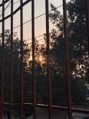 Sun behind the trees.