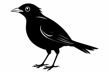 Moyna bird silhouette  icon, bird silhouette  