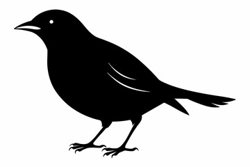 Moyna bird silhouette  icon, bird silhouette  