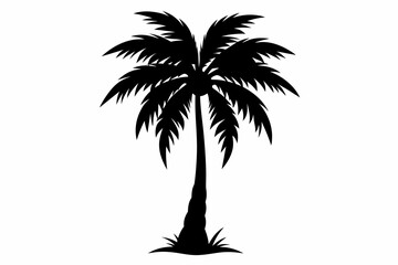 Palm tree silhouette vector art
