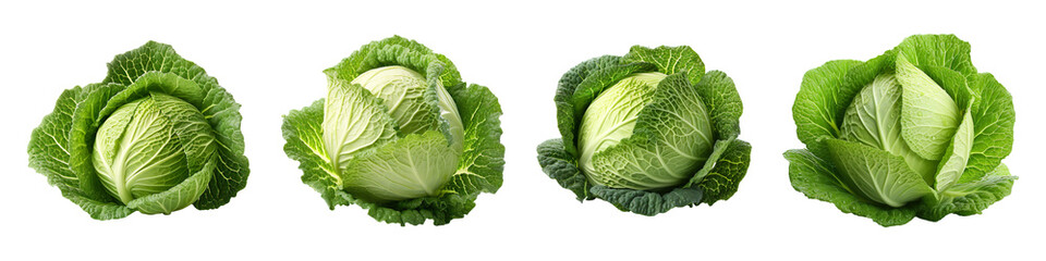 Fototapeta premium Collection set of Cabbage isolated on transparent background