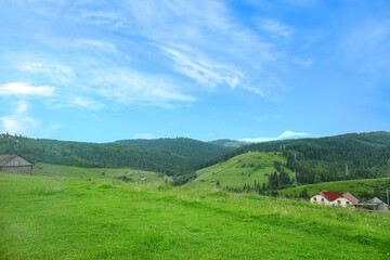 Fototapeta premium Beautiful landscape of Carpathian mountains in Ukraine