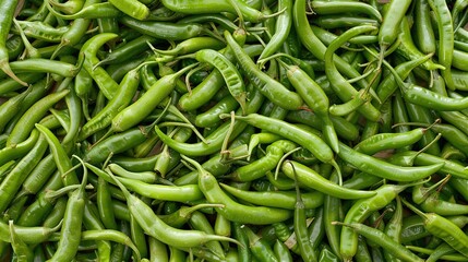 Agricultural Nature of Green Chili Vegetables