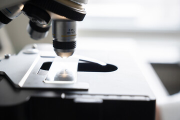 Sample At Microscope