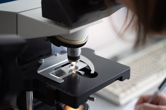 Sample Analysis Using Microscope