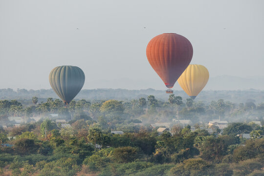Hot Air Balloons Over Tropical Landscape