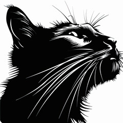 A black and white drawing of a cat looking up