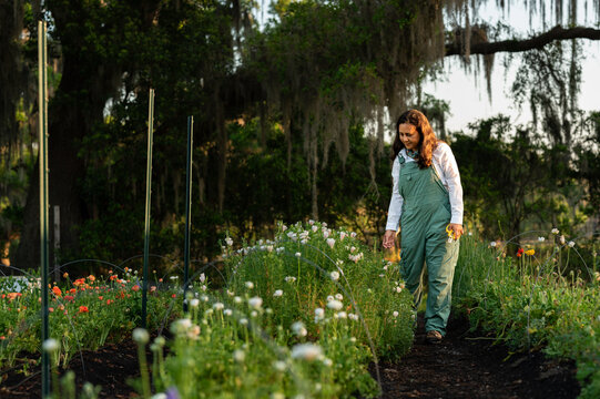 Female farmer in her flower garden