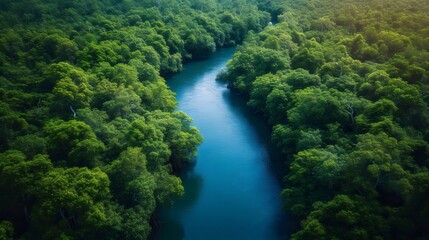 A river with a green forest on either side