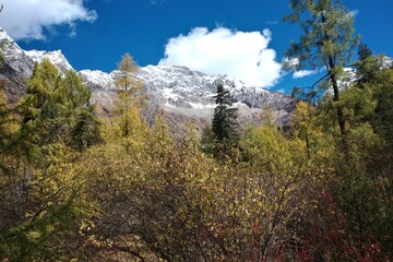 Obraz premium The Autumn in Siguniang Mountain at west of the capital city of Chengdu in Xiaojin country ,Sichuan ,China