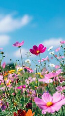 Obraz premium Colorful garden of wild flowers: Nature palette blurred background of sky and flowers