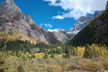 The Autumn in Siguniang Mountain at west of the capital city of Chengdu in Xiaojin country ,Sichuan ,China