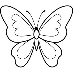 Butterfly line art vector illustration