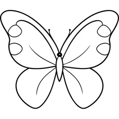 Butterfly line art vector illustration