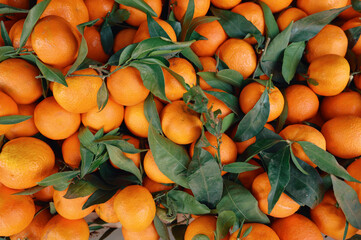 Photos of aesthetically pleasing oranges