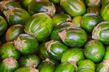 Fresh Brazilian jilós seen up close.