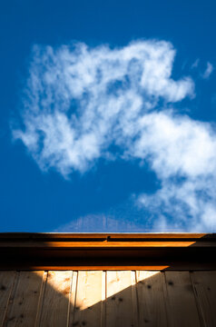 Skylight wooden window details