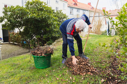 Senior man cleaning with wire broom his garden