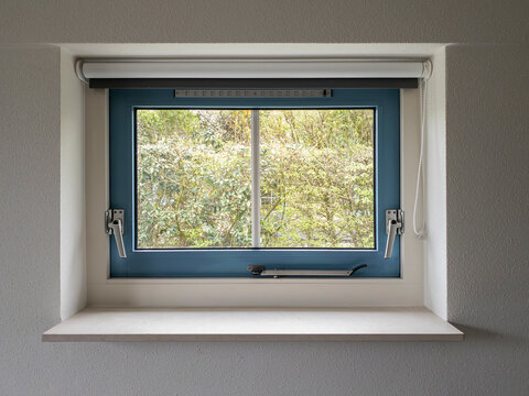 window and roller blind