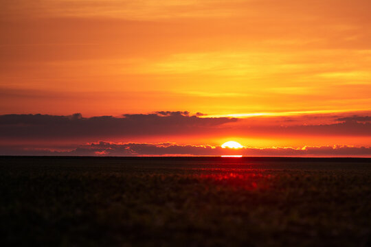 Fiery Horizon: Rural Sunset