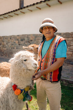 Peruvian Man and Llamas