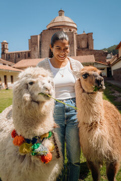 Tourist with Llama in Cusco Peru 