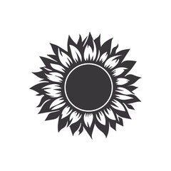 Black and white sunflower Beautiful sunflower flowers. Vector illustration