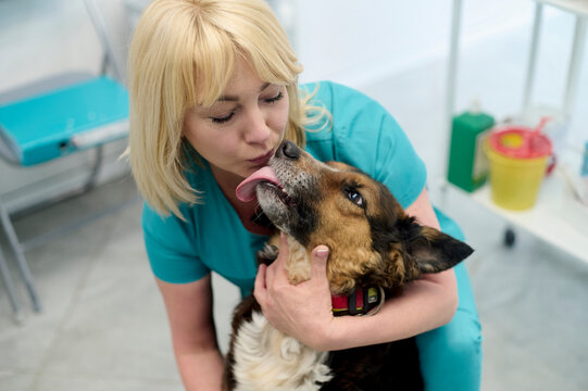 Young nurse kiss a dog in the vet clinic