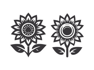 Black and white sunflower Beautiful sunflower flowers. Vector illustration