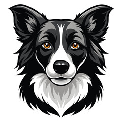 Fototapeta premium Detailed Vector Illustration of a Border Collie Dog Head Portrait with Realistic Features and Expressive Eyes