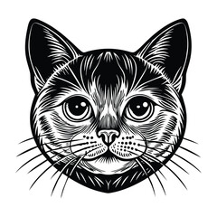 Detailed vector illustration of a British Shorthair cat head portrait with intricate lines and shading, ideal for tattoos, logos, and design projects