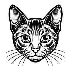 Vector Illustration of a Burmilla Cat Head Portrait in Detailed Black and White Line Art - Perfect for T-Shirts, Tattoos, and Graphic Design Projects