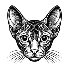 Detailed Vector Illustration of German Rex Cat Head Portrait in Black and White