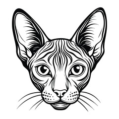 Intricate Vector Illustration of Peterbald Cat Head - Detailed Black and White Line Art Drawing of Exotic Cat Breed - High Quality Printable Design for Tattoos and Art Projects