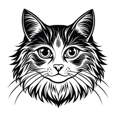 Obraz premium Vector illustration of a ragdoll cat head portrait in black and white, detailed and intricate design with bold lines and expressive eyes