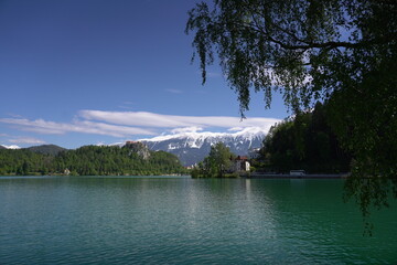 Castle bled