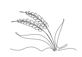 Continuous one line drawing of wheat. Barley or Rye outline vector illustration.