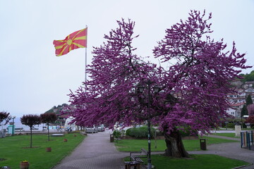 Spring in Ohrid