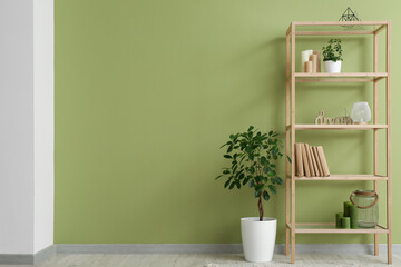 Interior of green room with houseplant and shelving units