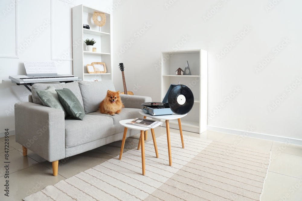 Wall mural Cute Pomeranian dog on sofa with record player at home