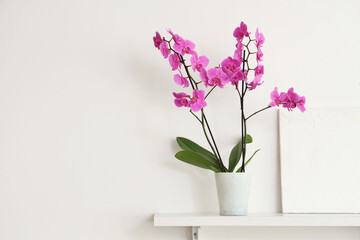 Shelf with orchid flower and painting on light wall